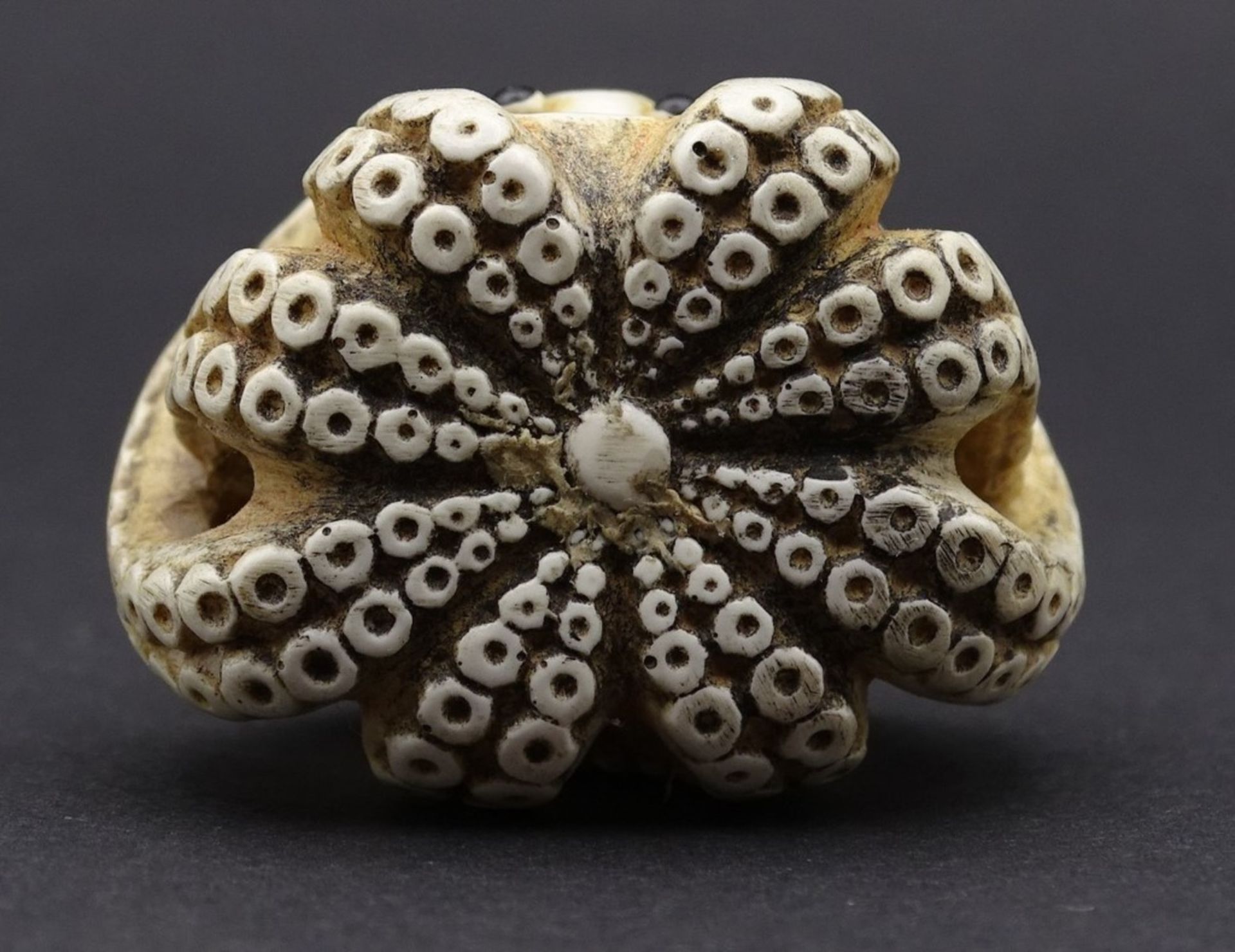 Netsuke - Oktopus,Rückseite r.u. signiert, H- 3,3cm - Bild 5 aus 6