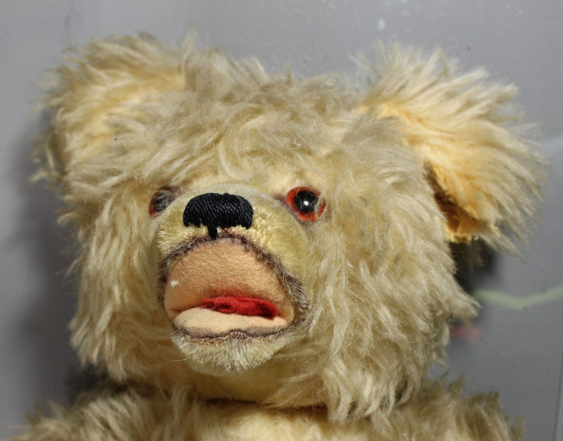 Teddy, älter, 1x Ohr beschädigt, ca. H-48cm. - Image 3 of 4