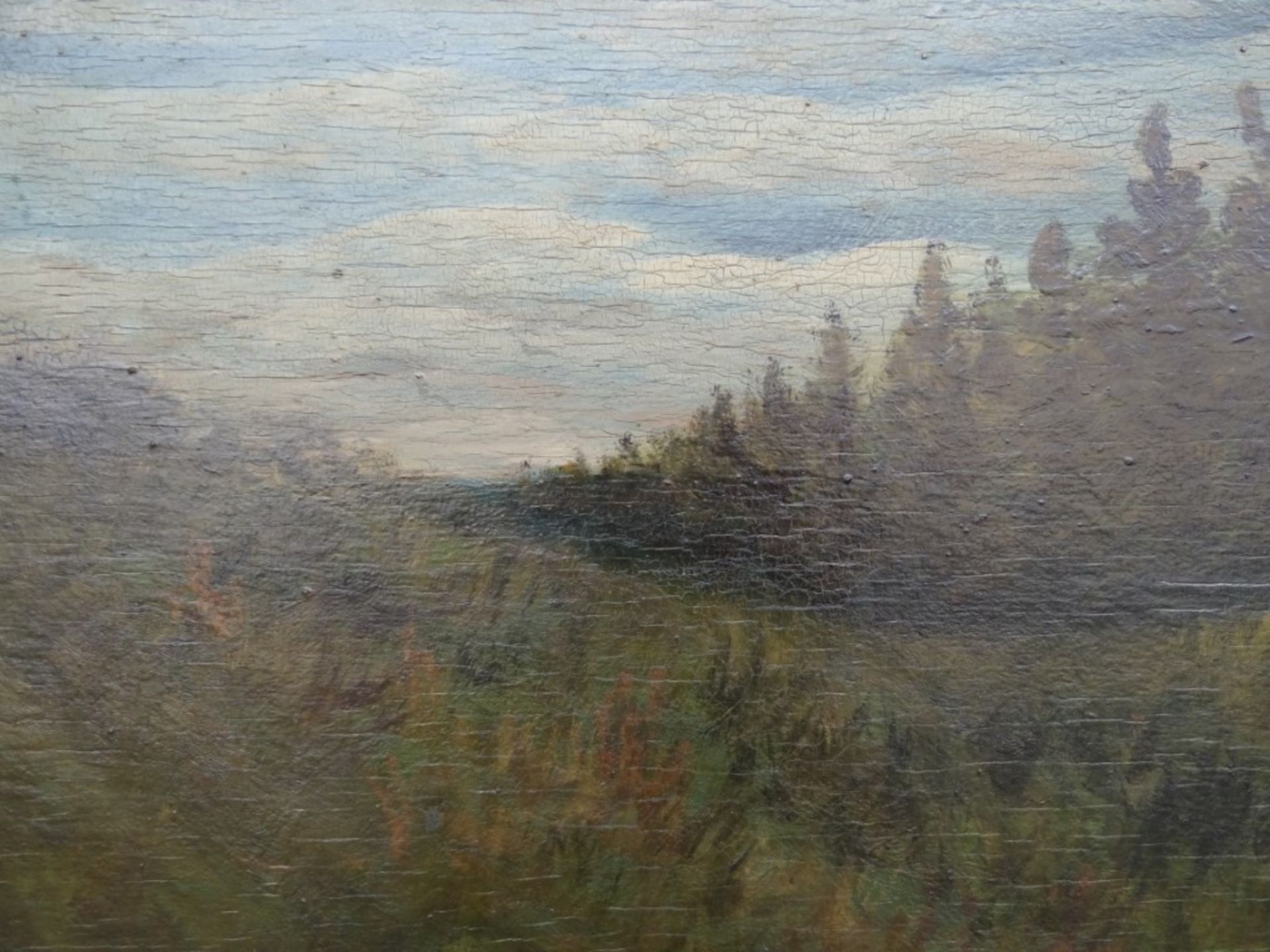 unlesl. Signirtes Gemälde auf Holz, "Waldlandschaft", gut Gerahmt, RG 58x48cm - Image 4 of 6