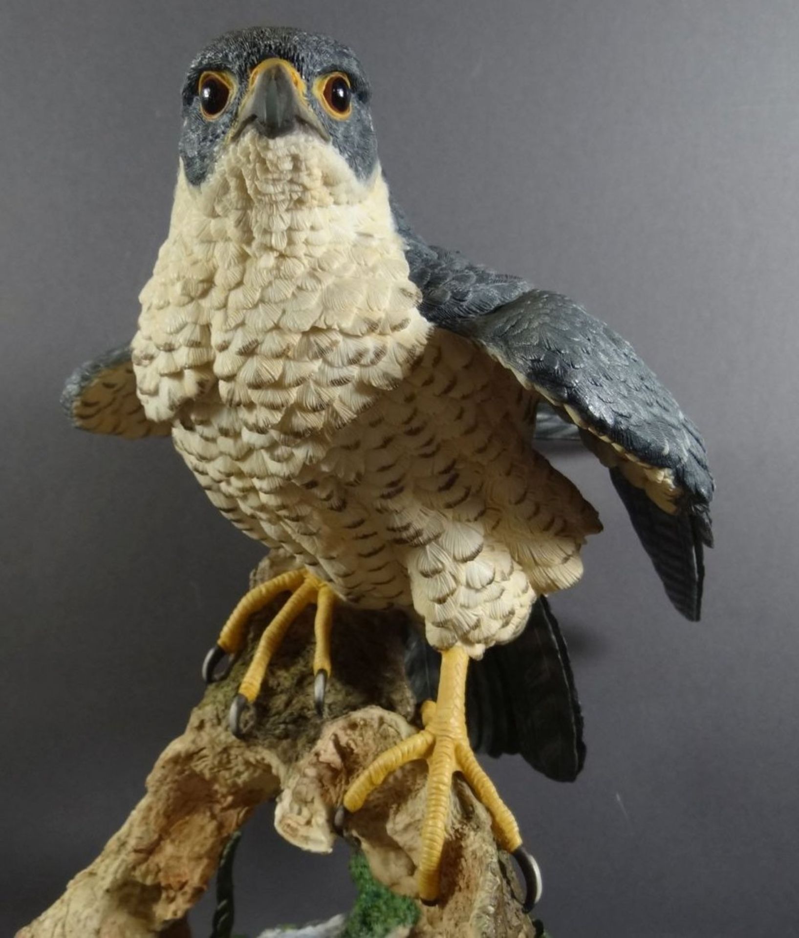 grosser Raubvogel von Goebel "Lord of the skies" handcrafted in England, H-40 cm, B-32 cm - Bild 3 aus 10