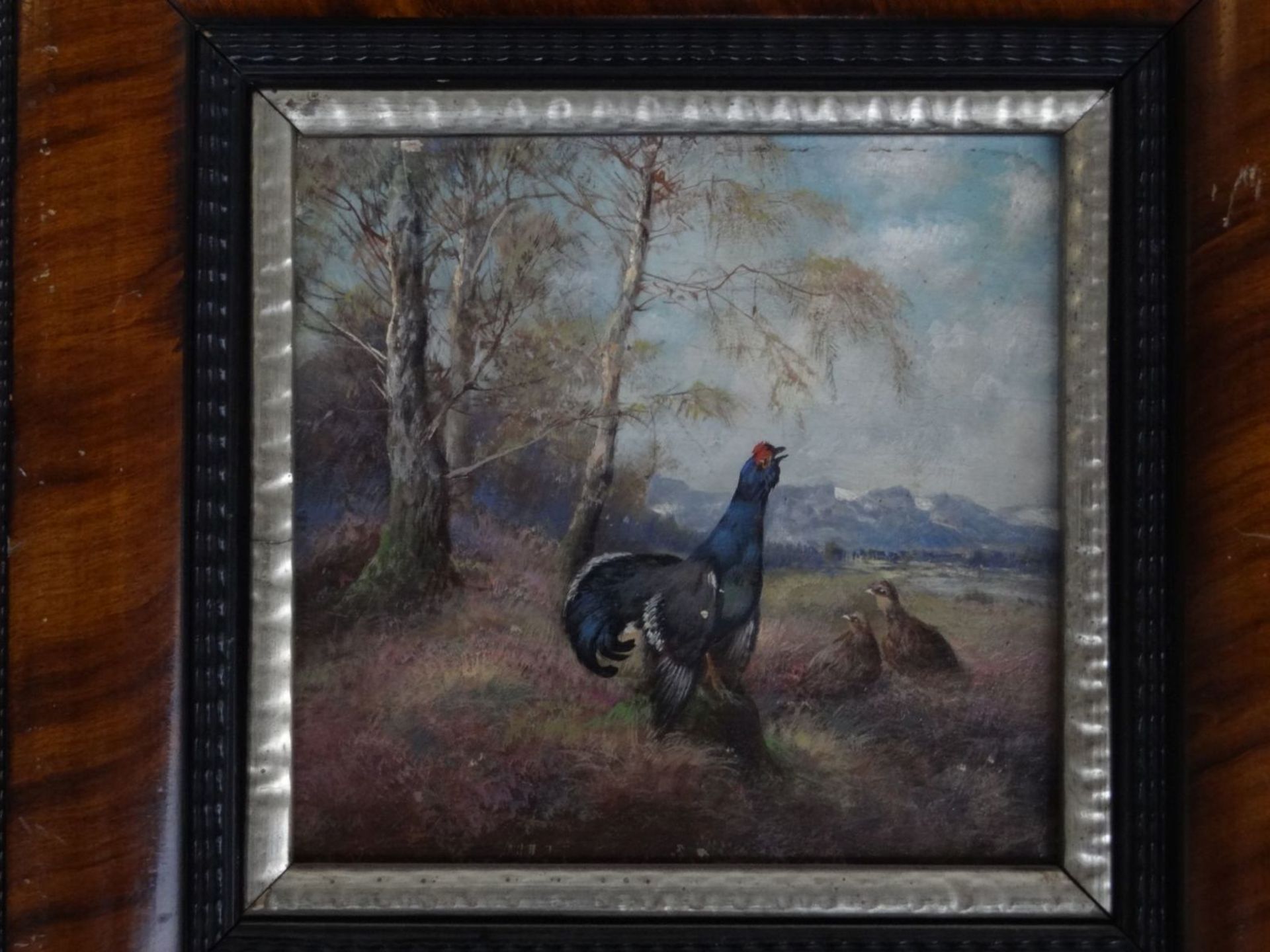 Max I HÄNGER (1874-1941) "balzender Auerhahn mit Hennen", Öl/Holz, 14x13,5 cm, ger/Glas, RG 31x31 cm - Bild 4 aus 7
