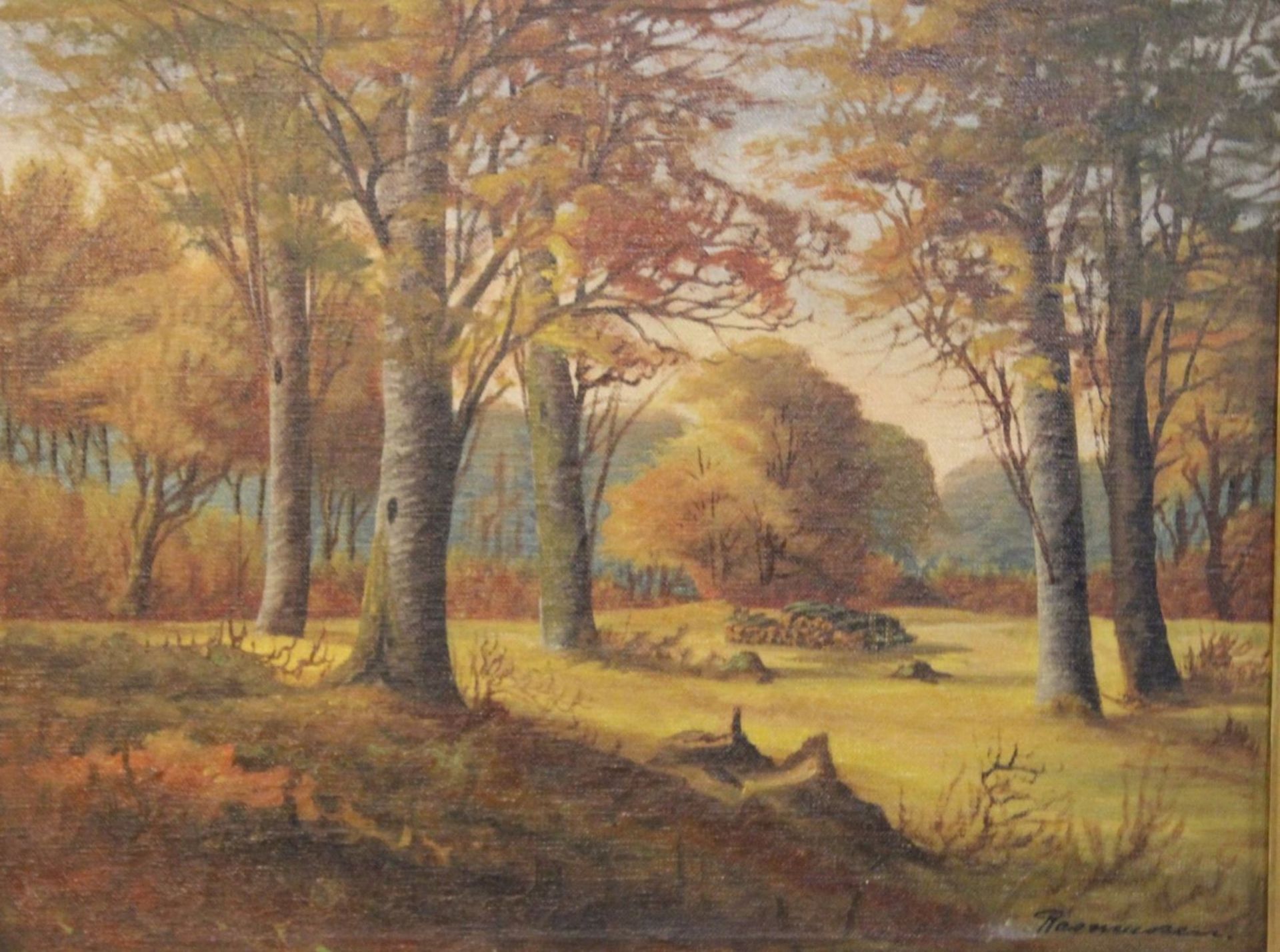 Rasmussen, Waldlandschaft, Öl/Leinwand, gerahmt, RG 40 x 50cm