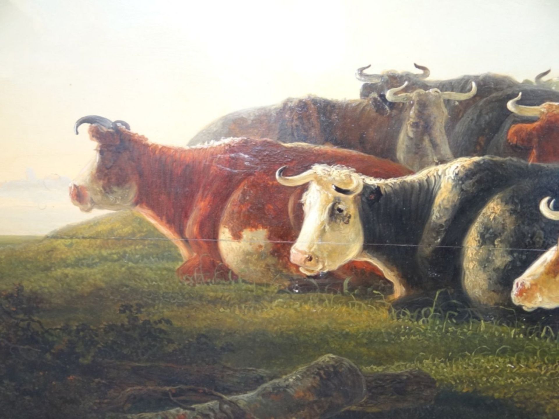 grosses anonymes Altmeistergemälde "rastende Kühe", Öl/auf zweifach gesperrter Holzplatte, - Bild 6 aus 9