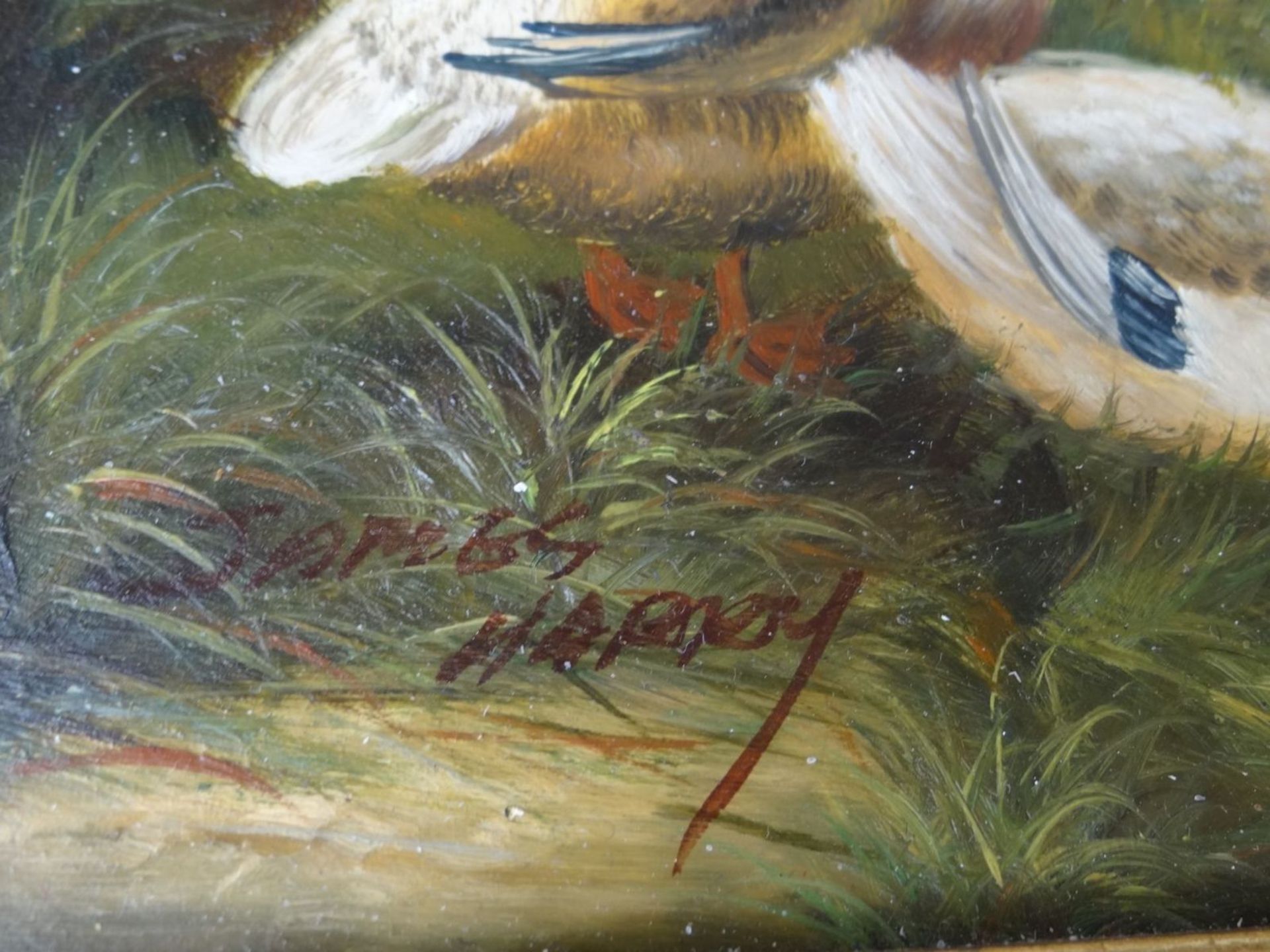 unleserl. signiert, 1964 "Enten" Öl/Holz, gerahmt, 38x33 cm - Bild 3 aus 4
