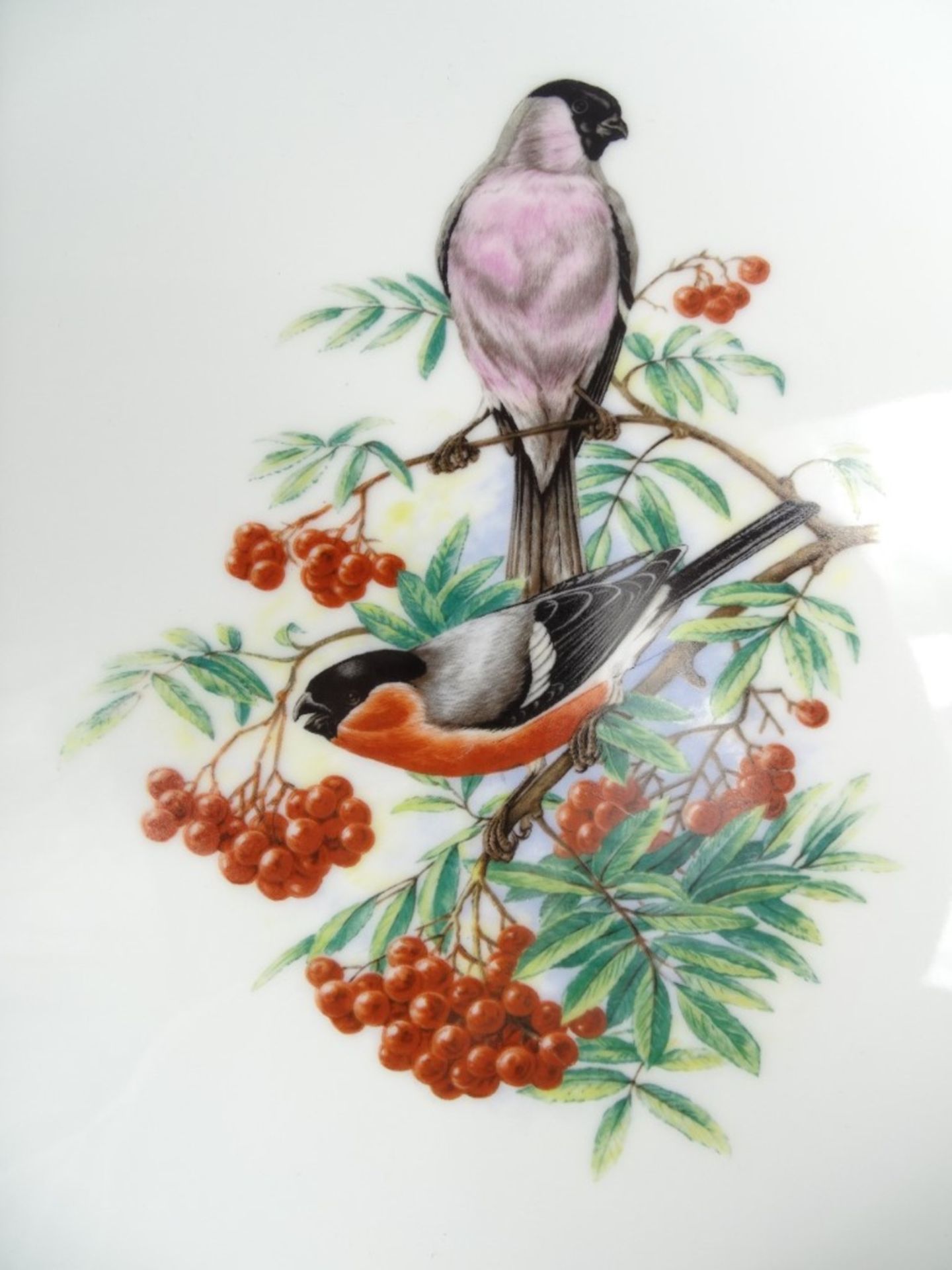2 gerahmte Porzellanmalereien mit Vogelmotiven, Heinrich, 23x29 cm - Bild 6 aus 9