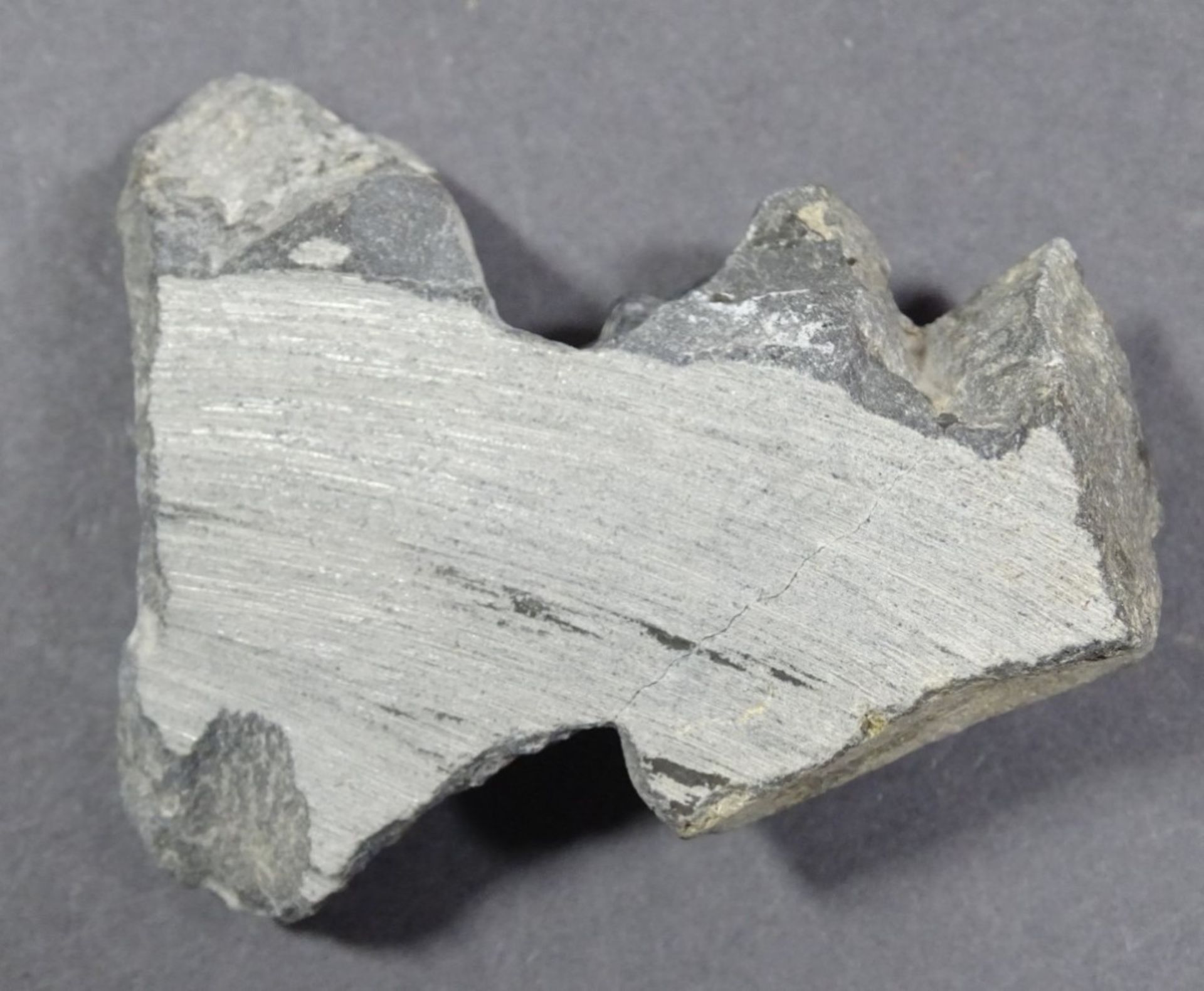 Trilobit, 36 gr., ca. 4x5 cm - Bild 2 aus 3