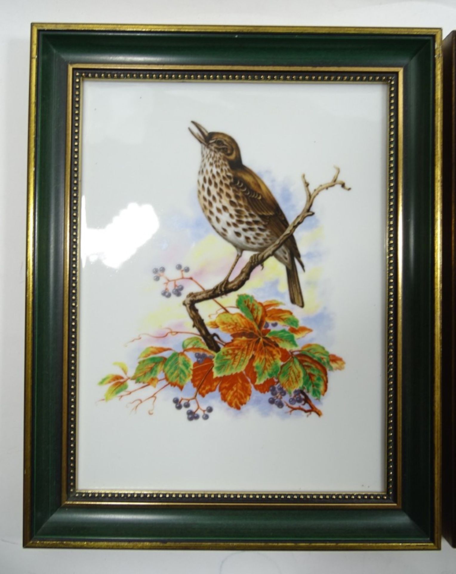 2 Porzellan-Bilder, gerahmt, mit Vogeldarstellungen, Heinrich, je 29 x 22,5 cm, Rahmen mit kleinen - Bild 2 aus 6