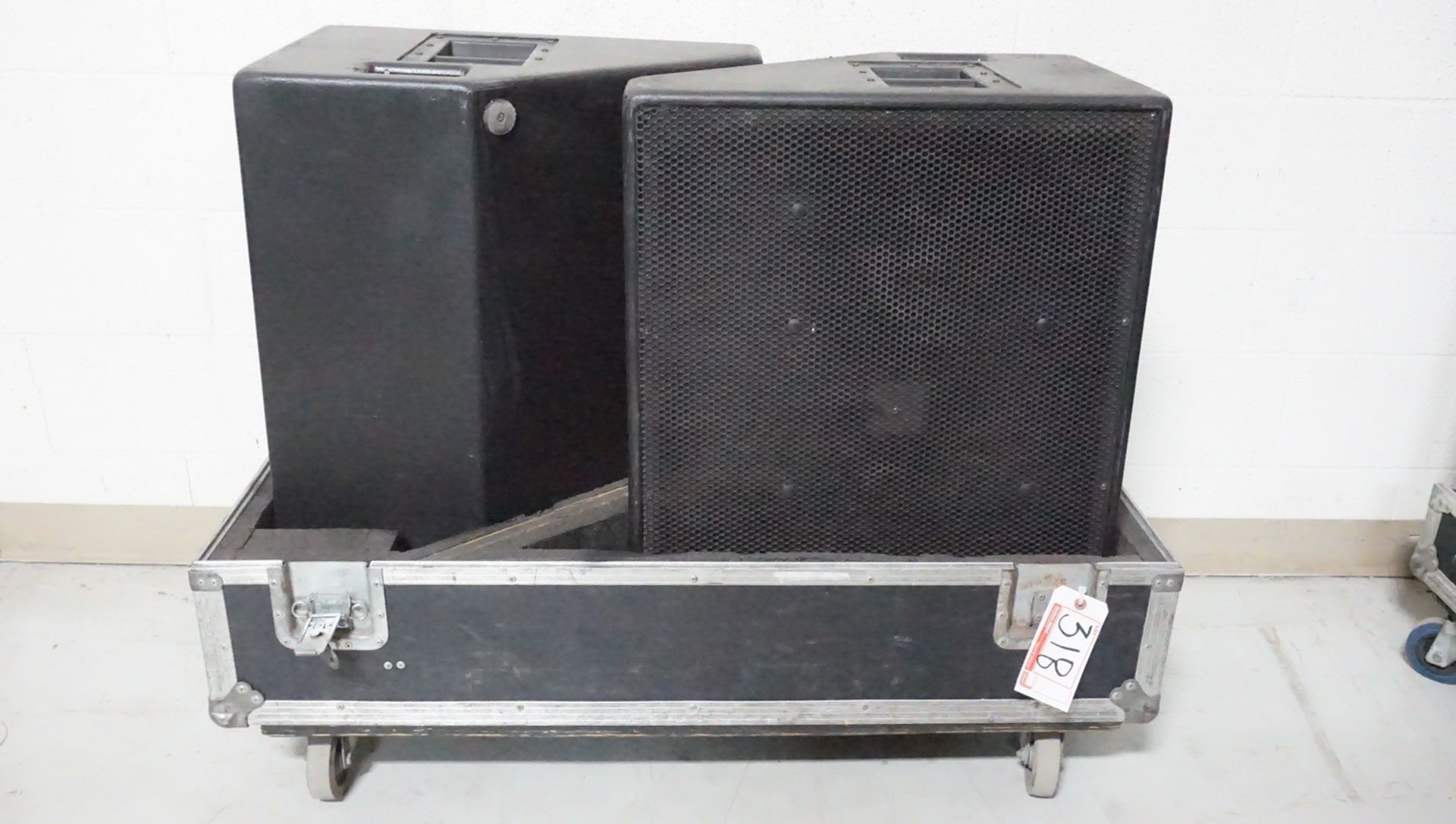 UNITS - EAW SM400 BI-AMP WEDGE MONITORS W/ CASE