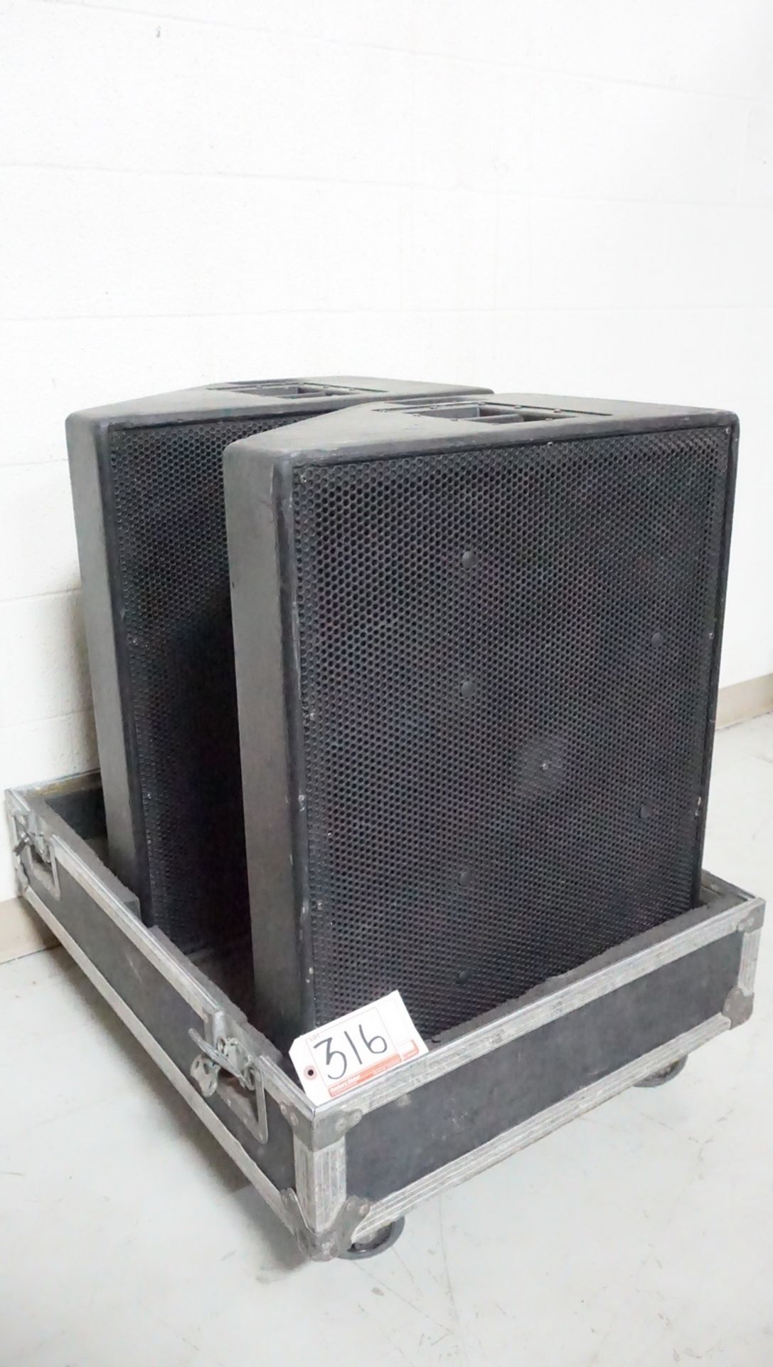 UNITS - EAW SM400 BI-AMP WEDGE MONITORS W/ CASE