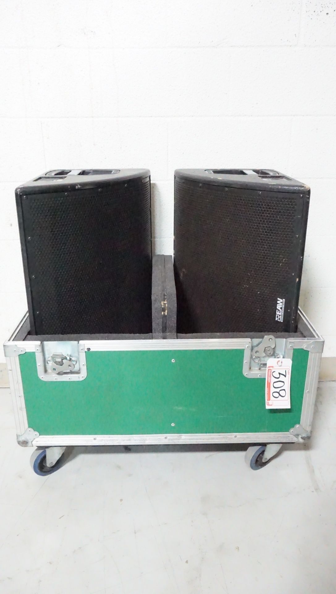 UNITS - EAW SM12 BI-AMP WEDGE MONITORS IN CASE