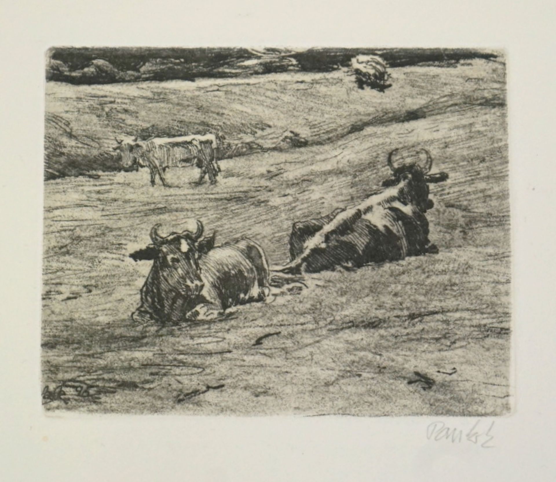 Pankok, Bernhard: Kühe auf einer Weide