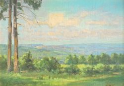 Kinsley, Nelson Gray: Taunus-Landschaft