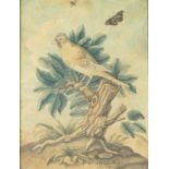 französischer Graphiker des 18.Jhd.: Vogel auf einem Baumstumpf mit Schmetterling und Fliege, dat. 1