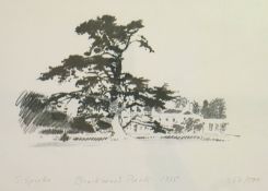 Sprotte, Siegwart: "Borkwood Park" 1975