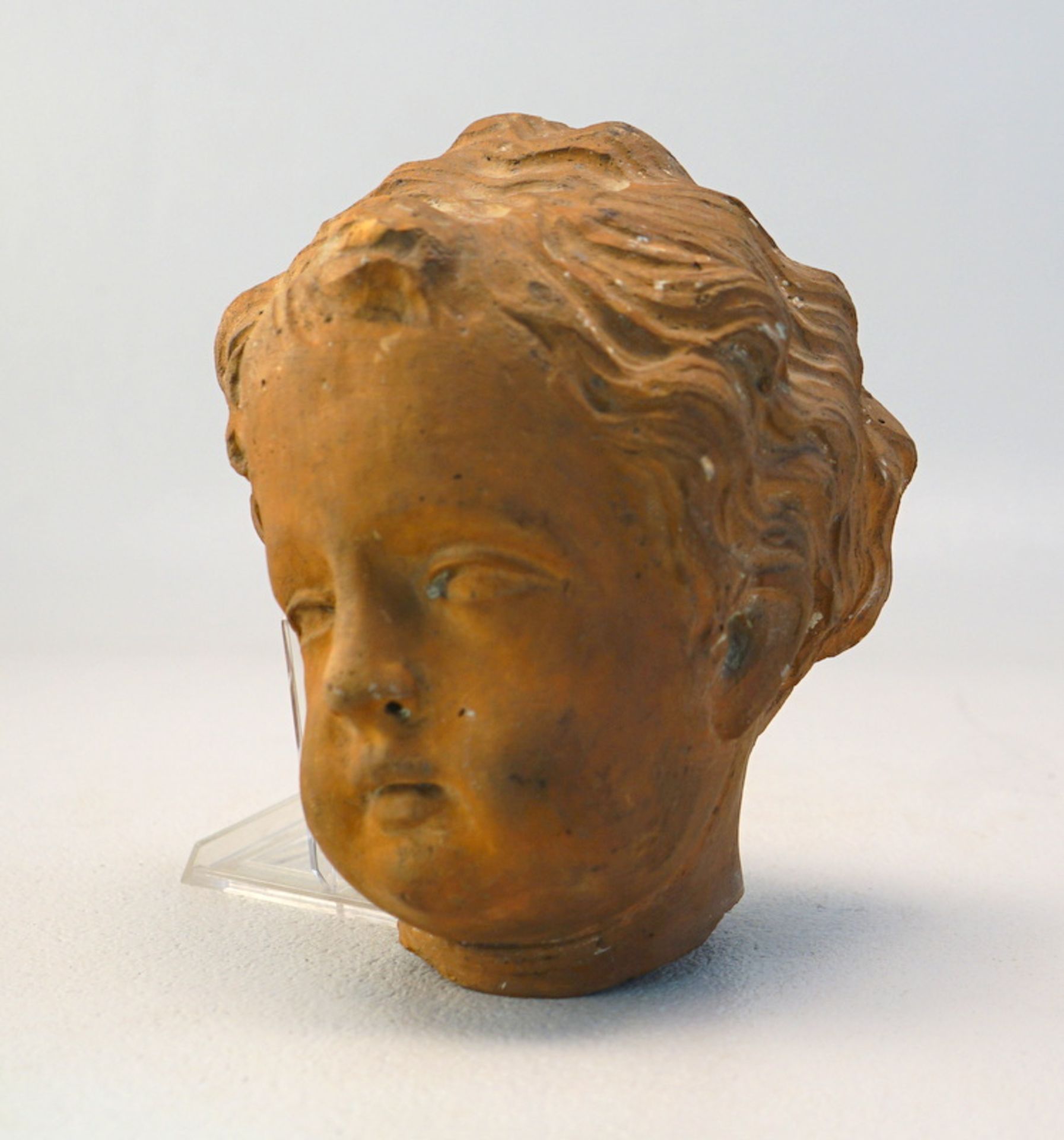 Terracotta-Bozetto Kopf eines Putto, 18. Jhd.