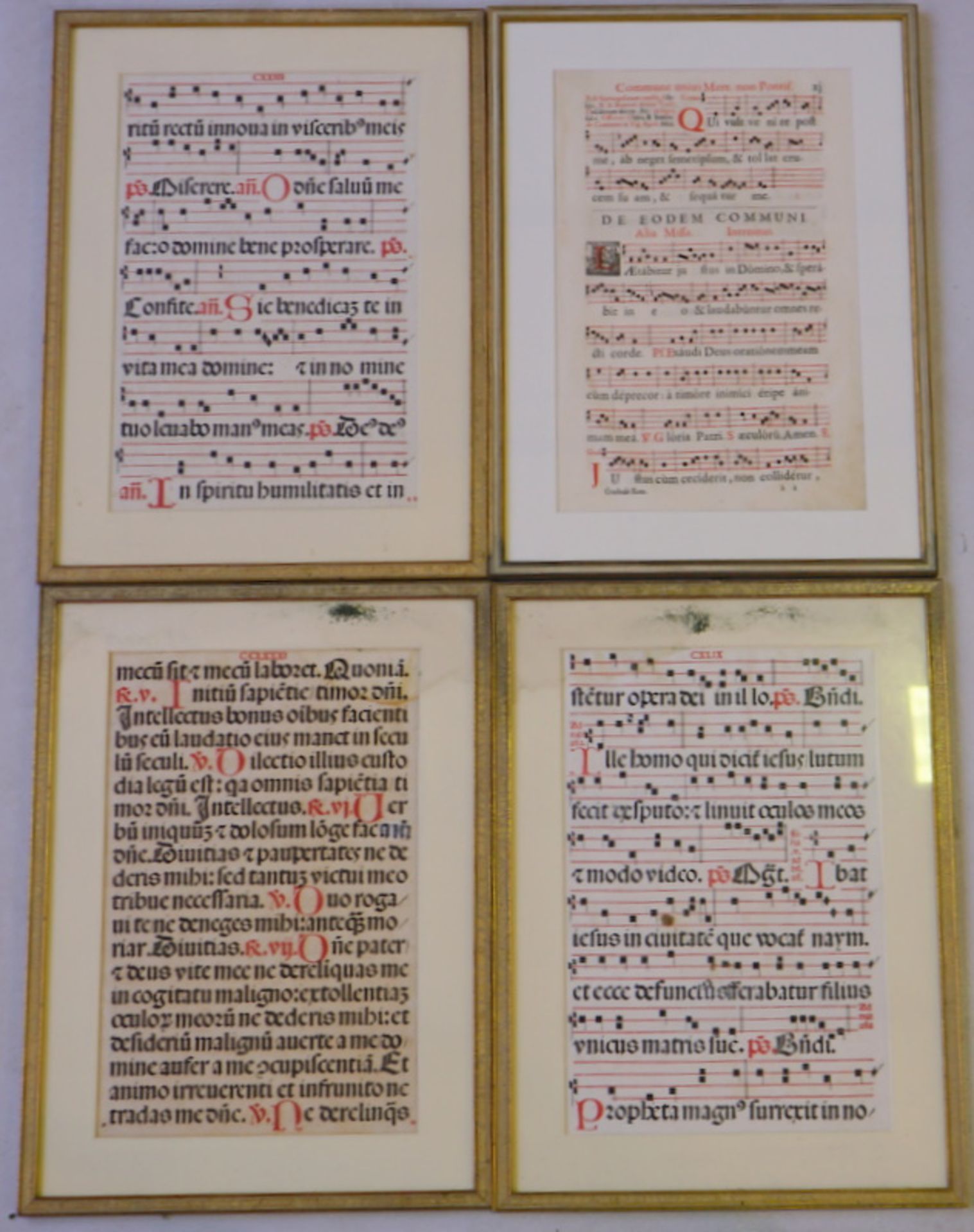 Vier große Blätter Missale Romanum, 16. /17. Jhd. - Image 2 of 2