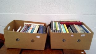 Two boxes of art-related books.