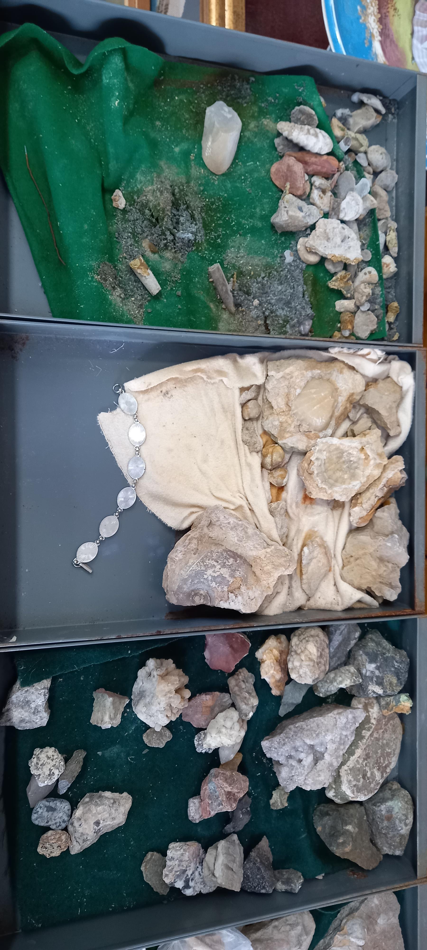 A Bisley metal cabinet full of fossils, shells and other archaeological finds. - Image 5 of 11