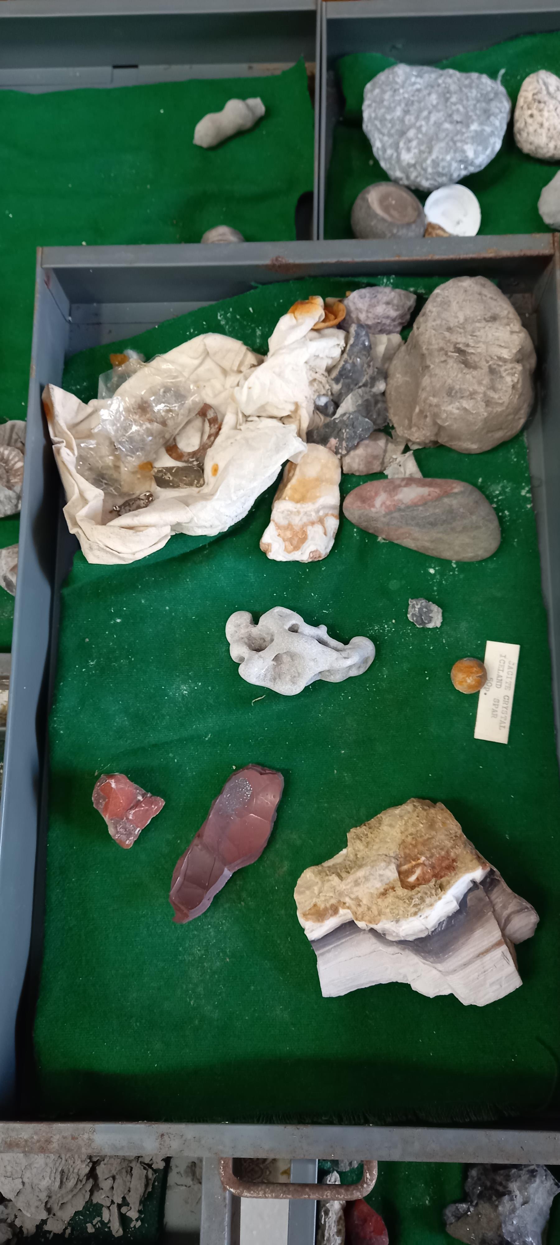 A Bisley metal cabinet full of fossils, shells and other archaeological finds. - Image 2 of 11