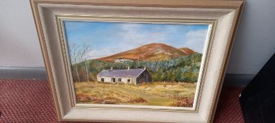 D. Large (XX) 'Southside of Carrickgolligan, Skankill, Co. Dublin', Acrylic, Signed, Title to the