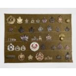 Canadian Expeditionary Forces 43-112 Battalions. A display card containing cap badges, collar