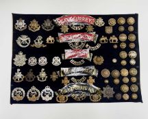 English Regiments - 31st-37th Foot. A display card containing cap badges, collar dogs, shoulder