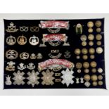 38th - 42nd Foot Regiments. A display card containing cap badges, collar dogs, shoulder titles and