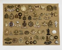 New Zealand Regiments. A display card containing cap badges, collar dogs, shoulder titles and