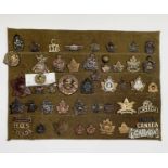 Canadian Experditionary Forces 113-241 Battalions. A display card containing cap badges, collar