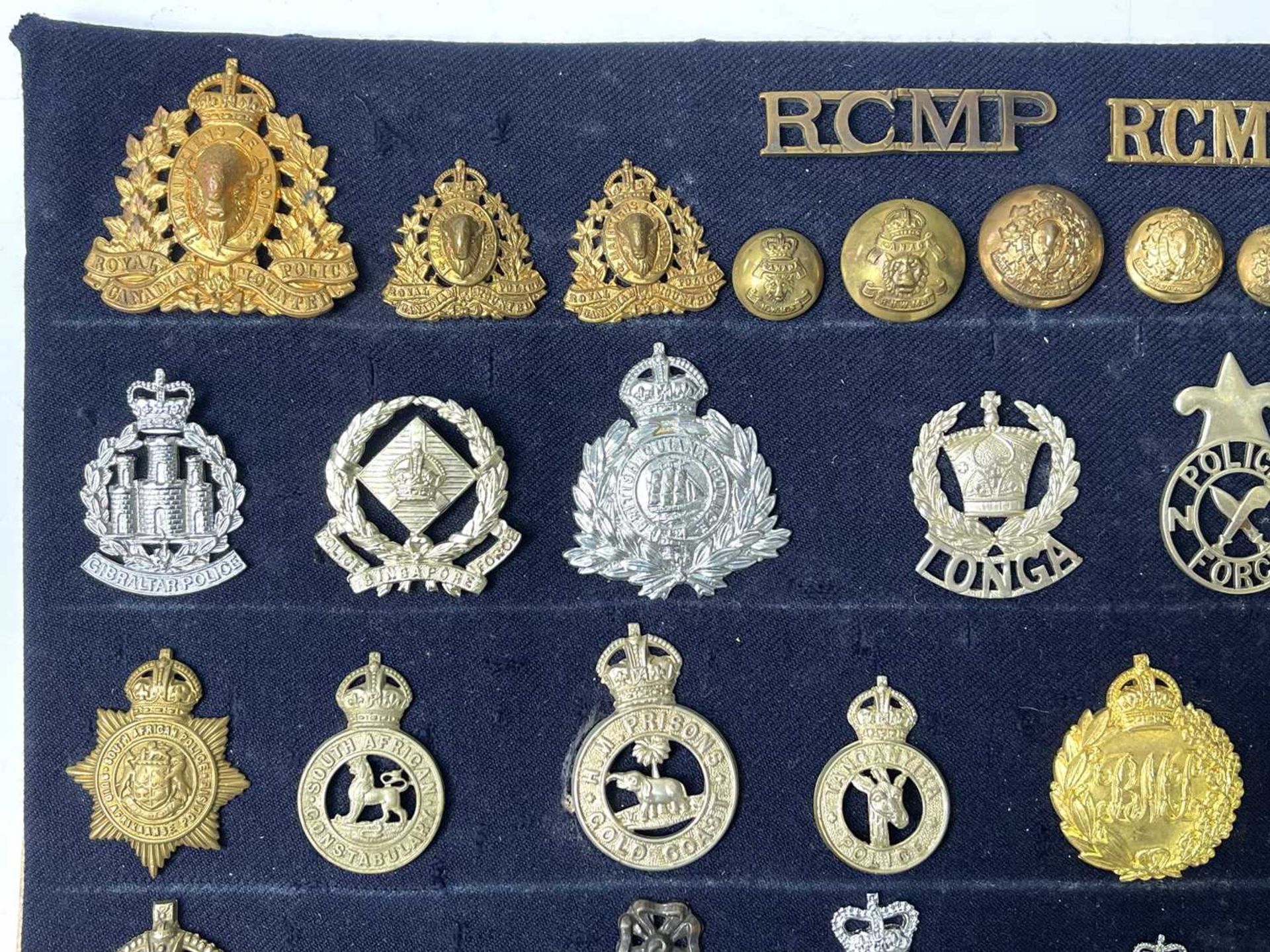 Police Forces - Foreign. A display card of Badges, Buttons and Shoulder Titles. Noted: Tonga Police, - Image 2 of 5