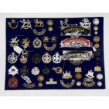 Territorial Army County Regiments. A display card containing cap badges, collar dogs, shoulder