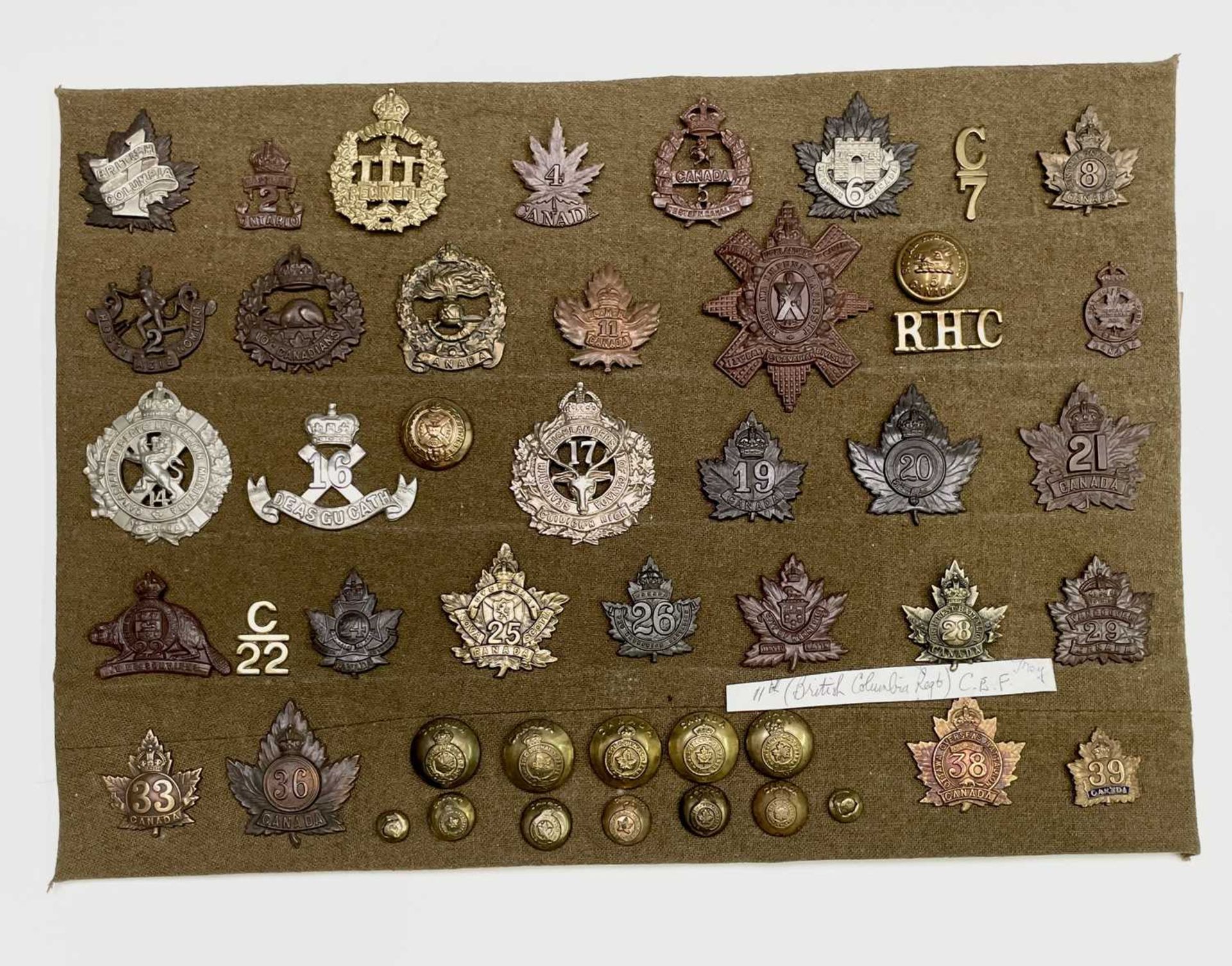 Canadian Expeditionary Forces 1 to 39 Battalions. A display card containing cap badges, collar dogs,
