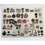 East Africa / British Colonies. A display card containing cap badges, collar dogs, shoulder titles