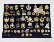 Canadian Infantry. A display card containing cap badges, collar dogs, shoulder titles and buttons.