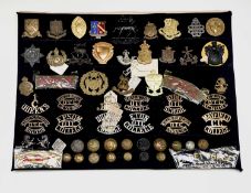 Officer Training and Cadet Corps. A display card containing cap badges, collar dogs, shoulder titles