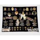 Officer Training and Cadet Corps. A display card containing cap badges, collar dogs, shoulder titles