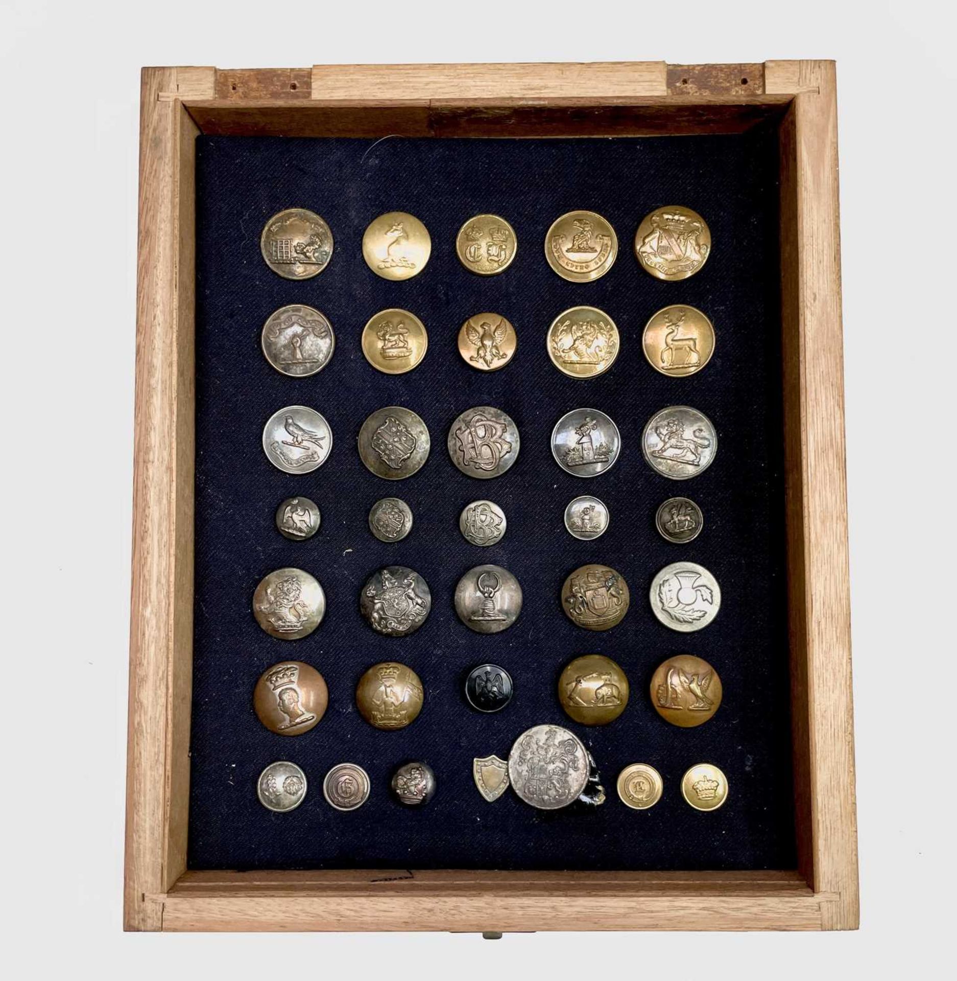 Livery Buttons (x36). Comprising a board mounted framed and glazed display of 36 brass and plated