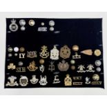 Miscellaneous - 1. A display card containing cap badges, collar dogs, shoulder titles and buttons.