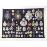 British Police Force Badges. A display card of badges, buttons and collar dogs including helmet