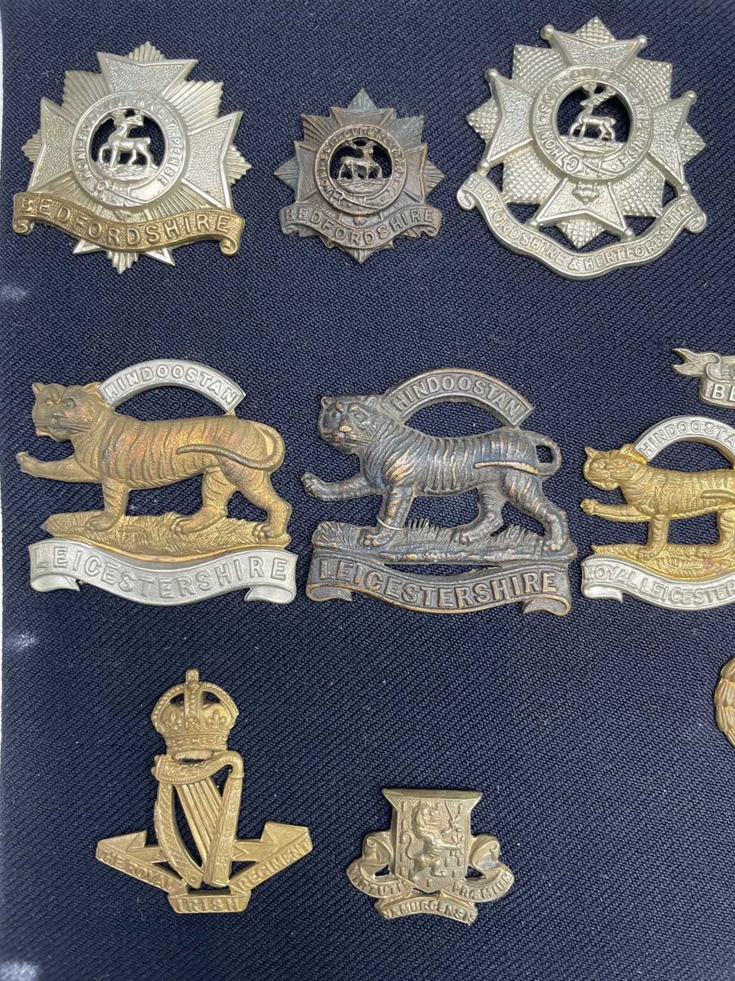 16th - 18th Foot. A display card containing cap badges, collar dogs, shoulder titles and buttons. - Image 8 of 8