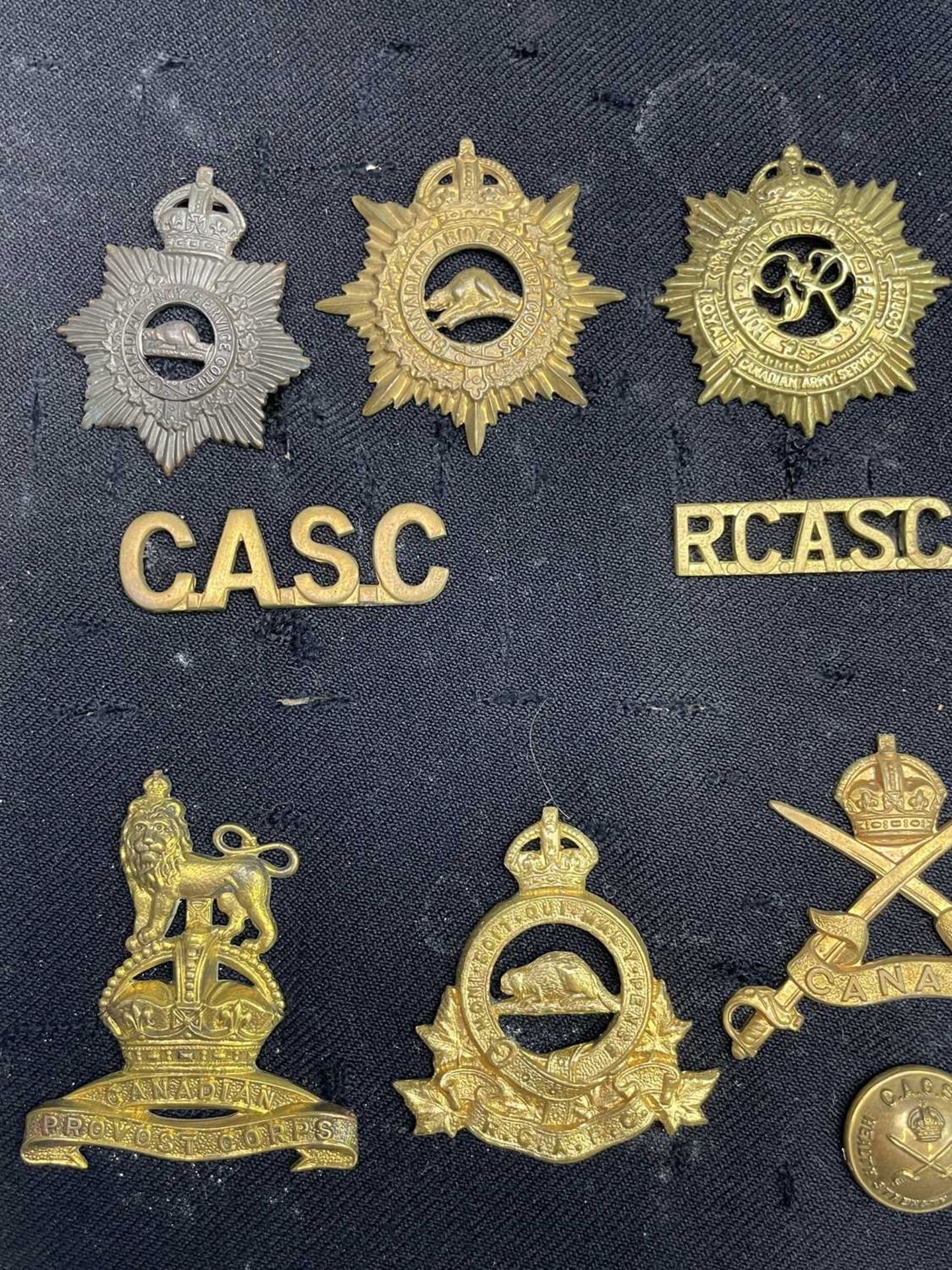 Canadian Corps and A.T.C's. A display card containing cap badges, collar dogs, shoulder titles and - Image 6 of 7