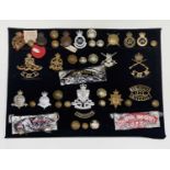 Army School Regiments and University Units. A display card containing cap badges, shoulder titles