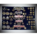 43rd - 48th Foot. A display card containing cap badges, collar dogs, shoulder titles and buttons.