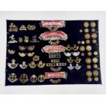 English Regiments - 49th-57th Foot. A display card containing cap badges, collar dogs, shoulder