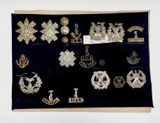 Scottish Territorial Army, etc. A display card containing cap badges, collar dogs, shoulder titles