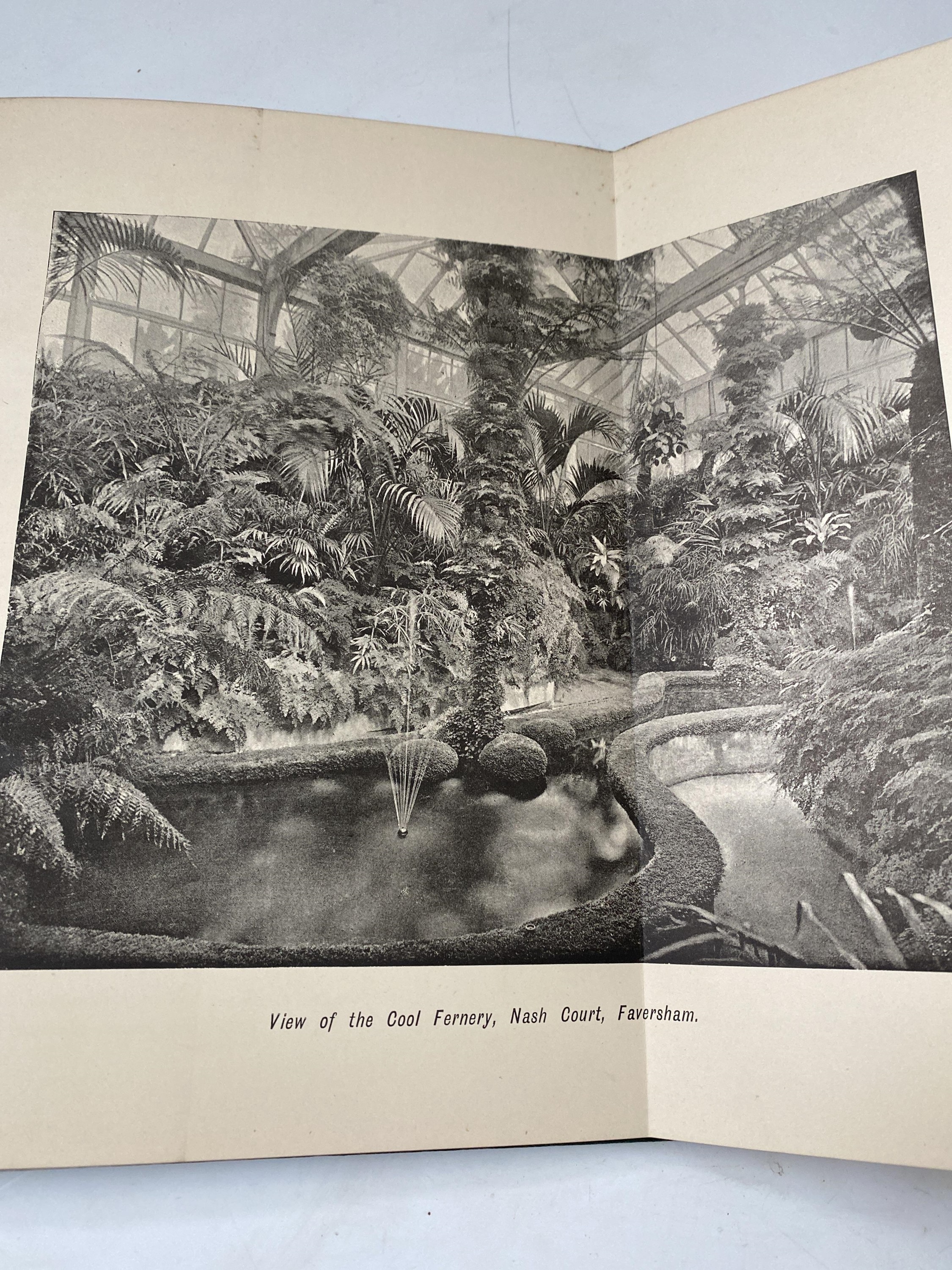 GEORGE SCHNEIDER. 'The Book of Choice Ferns.' Five vols, original pictorial cloth, rubbed ends to - Image 5 of 6