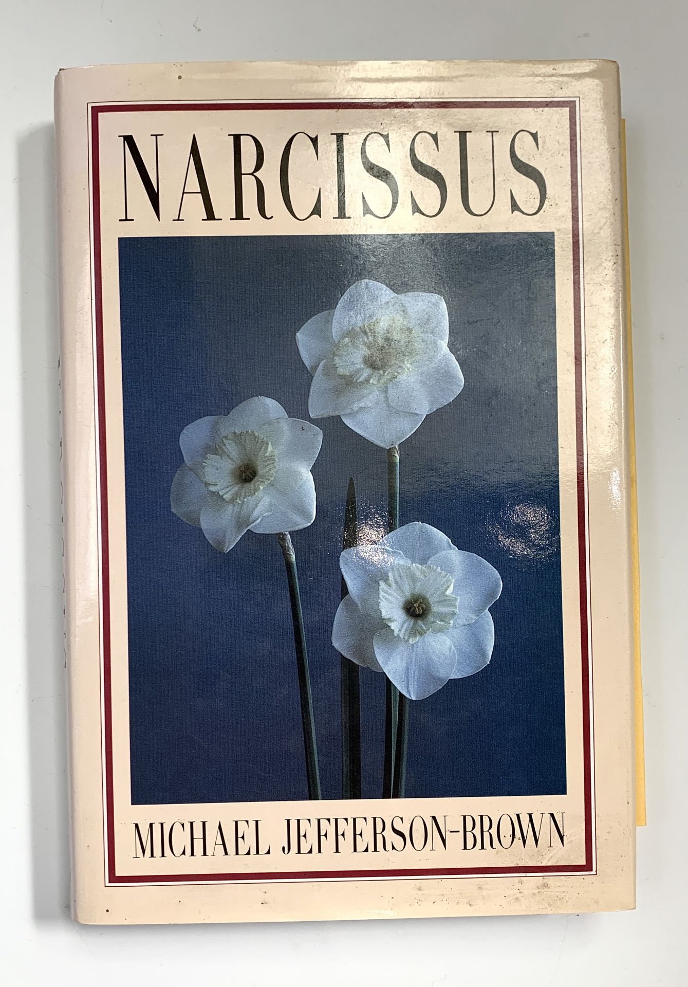 MICHAEL JEFFERSON-BROWN. 'Narcissus.' 1991. vg condition; JAMES S WELLS. 'Modern Miniature - Image 7 of 7