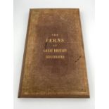 CHARLES JOHNSON. 'The Ferns of Great Britain'. First edition, original brown cloth boards with