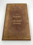 CHARLES JOHNSON. 'The Ferns of Great Britain'. First edition, original brown cloth boards with