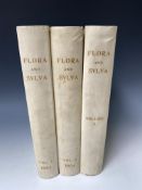 BOTANY. 'Flora and Sylva: A Monthly Review for Lovers of Garden.......' Three Vols, 1903-05, 66